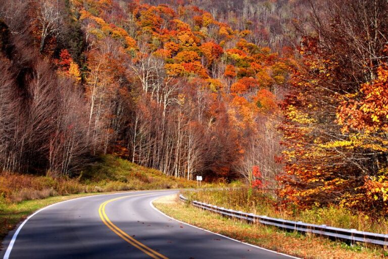 SR22 Insurance Tennessee Ultracar Insurance