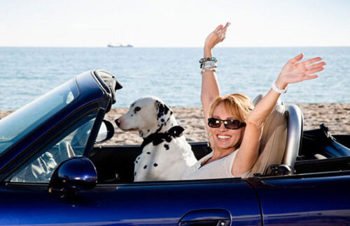 Get license reinstatement with non-cancelable FR44 Florida insurance.