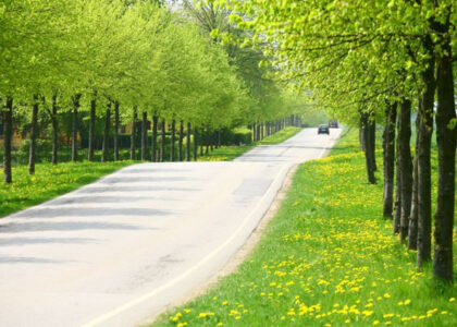 SR22 Insurance Louisiana