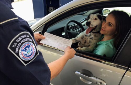Officer checking woman's documents