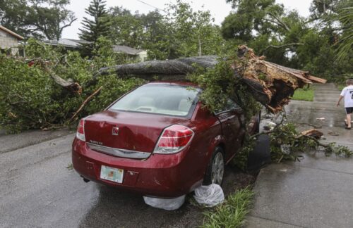 Car damaged by a fallen tree 