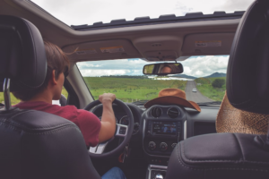 people driving down the highway.